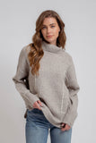 Contrast Line Turtleneck Sweater